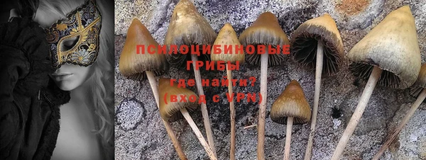 твердый Алексеевка