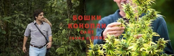 jwh Алзамай