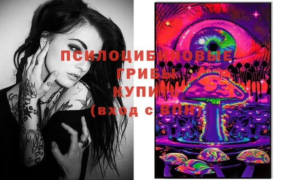 твердый Алексеевка