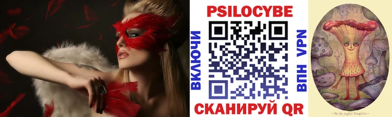 где найти наркотики  Морозовск  Псилоцибиновые грибы Psilocybe 
